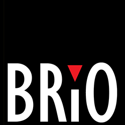 Brio Bodywear logo